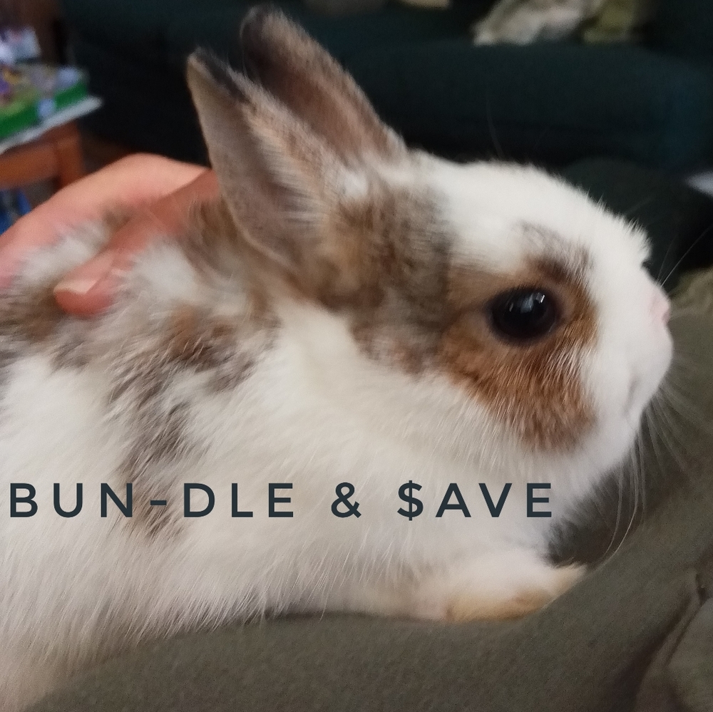 BUY 3 ITEMS, SAVE 10%